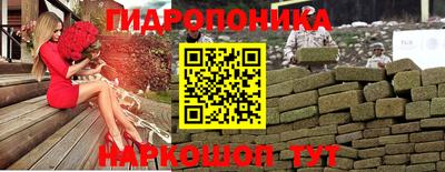 spice Рыбинск
