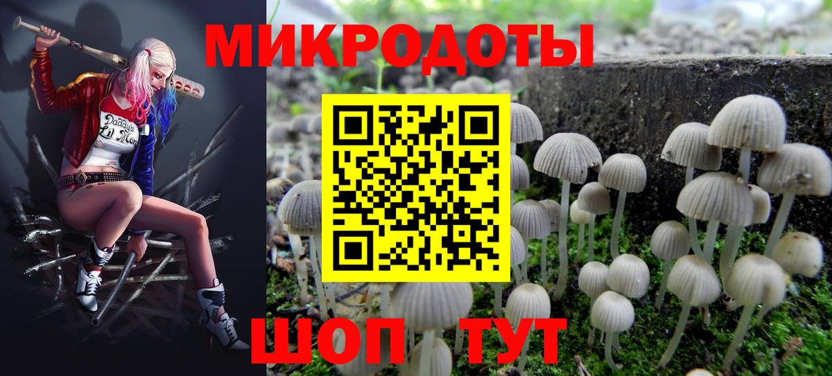 Галлюциногенные грибы Psilocybe Холмск