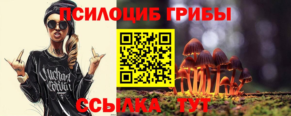 Холмск  Псилоцибиновые грибы MAGIC MUSHROOMS  Вход с VPN 